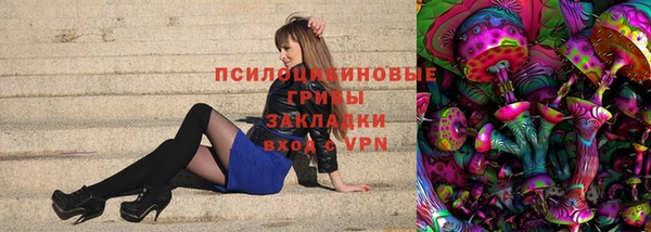 ПСИЛОЦИБИНОВЫЕ ГРИБЫ Аркадак