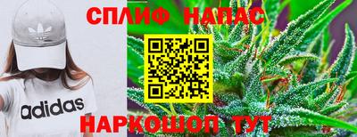 apvp Бийск