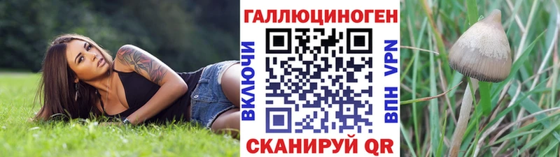 купить   hydra   Галлюциногенные грибы GOLDEN TEACHER  Бор 